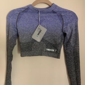 Gymshark Ombré Seamless Crop Top